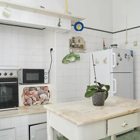 Ferienhaus Captain Pisco's Palheiro - Great Location